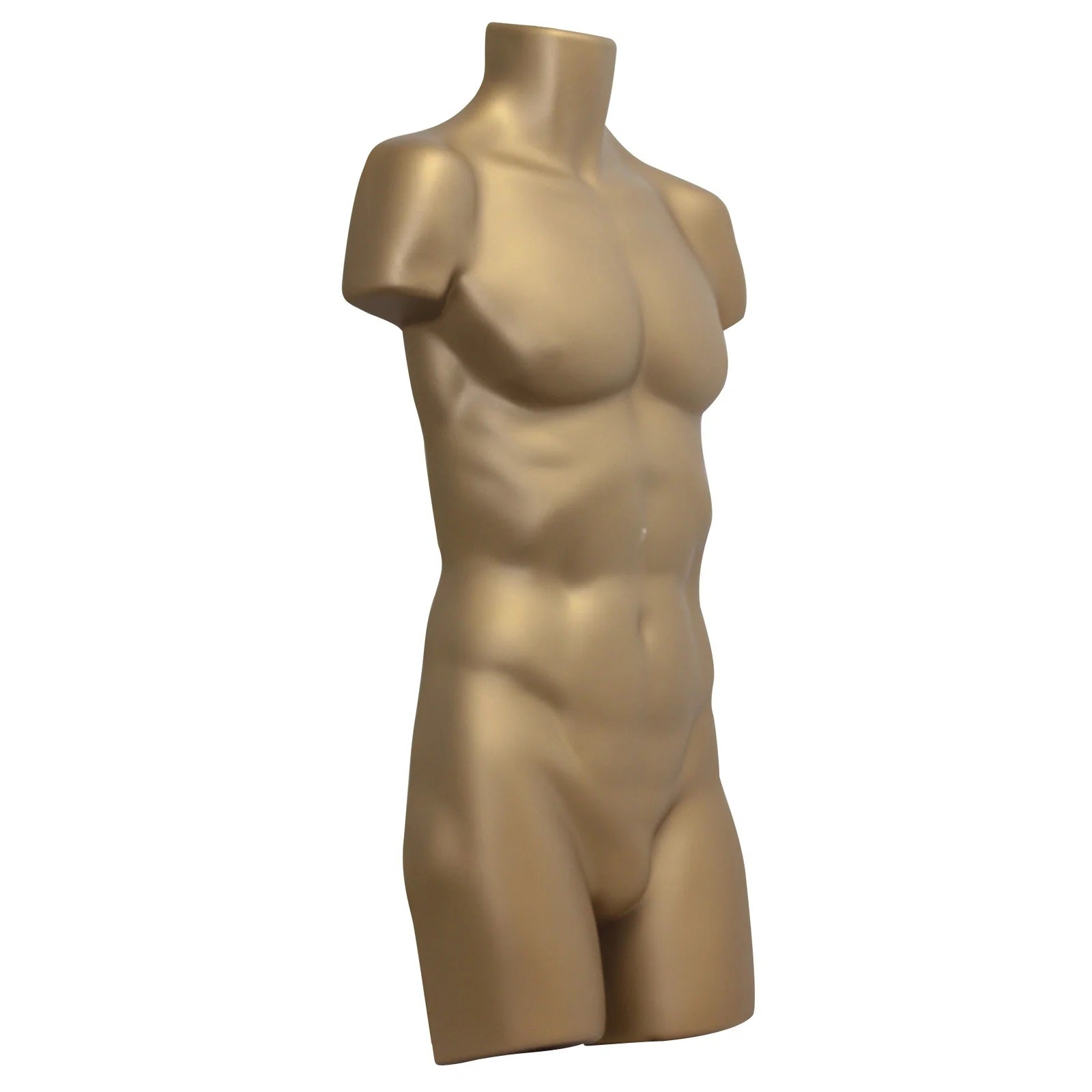 Adult Male Mannequin